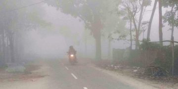 ঘন কুয়াশার চাদরে পঞ্চগড়ের জনপদ