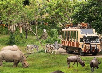 ৩ মাস পর খুললো গাজীপুর সাফারি পার্ক