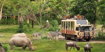 ৩ মাস পর খুললো গাজীপুর সাফারি পার্ক