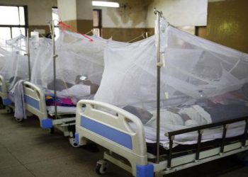 ভয়াবহ আকারে ডেঙ্গু