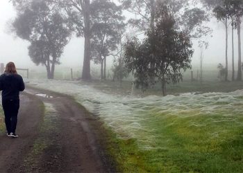শীতের সকালের বাতাস কি স্বাস্থ্যকর