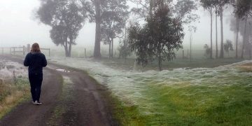 শীতের সকালের বাতাস কি স্বাস্থ্যকর