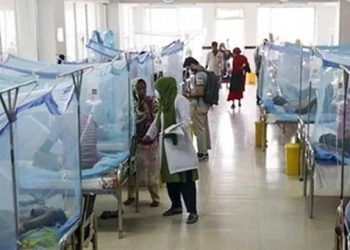 ডেঙ্গুতে আরও ৯ জনের মৃত্যু