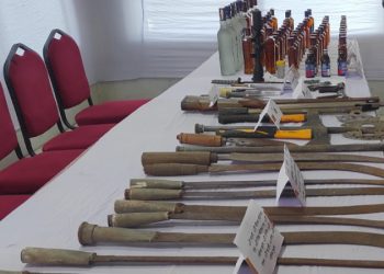 সরকারি প্রতিষ্ঠান থেকে দেশি-বিদেশি অস্ত্র ও মাদক