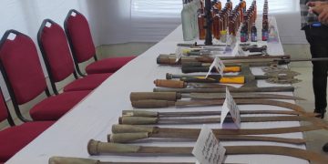 সরকারি প্রতিষ্ঠান থেকে দেশি-বিদেশি অস্ত্র ও মাদক