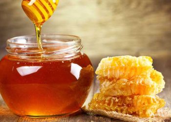 খাঁটি মধু চেনার উপায়