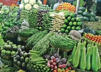 শীতের সবজিতে ভরপুর