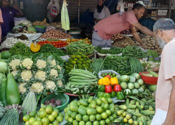 নাগালের মধ্যে শীতের সবজি