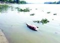 হালদা নদীতে ভেসে উঠল মৃত ডলফিন