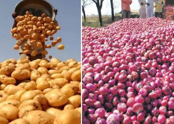 আলু-পেঁয়াজ কেনার পরিকল্পনা বাংলাদেশের, উদ্বেগে ভারত