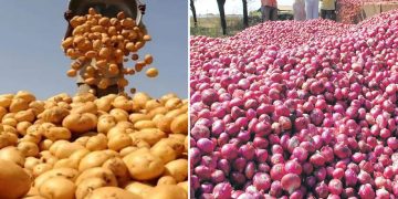 আলু-পেঁয়াজ কেনার পরিকল্পনা বাংলাদেশের, উদ্বেগে ভারত