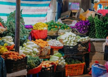 ফল ও সবজিতে কীটনাশকের ব্যবহার সবচেয়ে বেশি