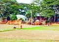 একটি বাড়ি নিয়ে একটি গ্রাম