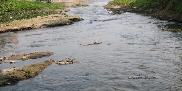 শ্রোতের পানি (এম এ ওয়াহাব)