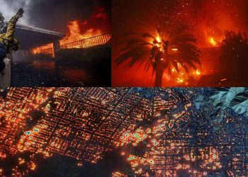 পরিবারসহ কেমন আছে প্রীতি