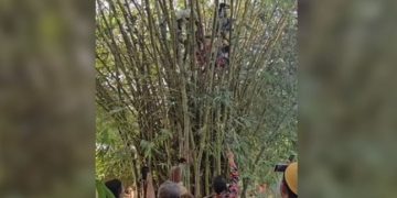 বাঁশঝাড়ের মাথায় গৃহবধূ