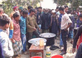 কৃষকের গরু চুরি করে ভূরিভোজ