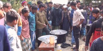 কৃষকের গরু চুরি করে ভূরিভোজ