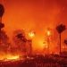 লস অ্যাঞ্জেলেসে এবার ‘আগুনে টর্নেডোর’ শঙ্কা