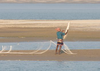 পদ্মায় শিকারির ফাঁদে অতিথি পাখি