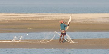 পদ্মায় শিকারির ফাঁদে অতিথি পাখি