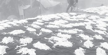 ঝুরিপিঠায় জীবন চলে