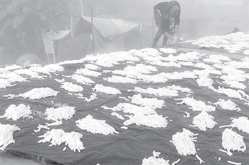 ঝুরিপিঠায় জীবন চলে