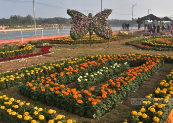 ৩৬ প্রজাতির লক্ষাধিক ফুলগাছ নিয়ে সেজেছে ডিসি পার্ক