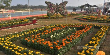 ৩৬ প্রজাতির লক্ষাধিক ফুলগাছ নিয়ে সেজেছে ডিসি পার্ক