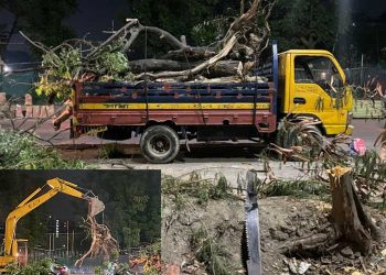 ধানমণ্ডি লেকে গাছ কেটে পরিবেশ ধ্বংস একটি চক্রের