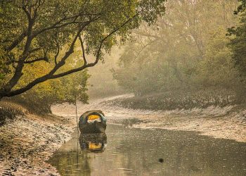 জীবনের সবকিছু সুন্দরবনেরই দান