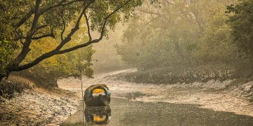 জীবনের সবকিছু সুন্দরবনেরই দান