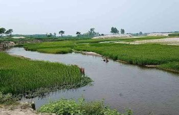 নদী ও খালের চরে ৩ কোটি টাকার সবজি