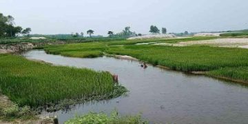 নদী ও খালের চরে ৩ কোটি টাকার সবজি