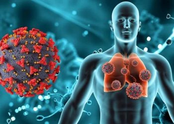 চীন, জাপান ও মালয়েশিয়ার পর ভারতেও এইচএমপিভি