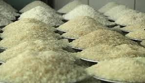 আমনের ভরা মৌসুমে চালের দাম বাড়ছে