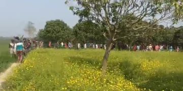 থামলো সীমান্তের সংঘর্ষ, দুঃখ প্রকাশ করল বিএসএফ