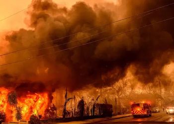 ভয়াবহ দাবানলের মধ্যেই চলছে লুটপাট