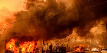 ভয়াবহ দাবানলের মধ্যেই চলছে লুটপাট