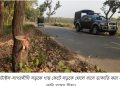ঘাটাইলে সড়কে গাছ ফেলে বাসে ডাকাতি