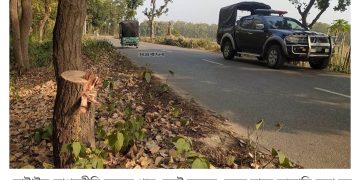 ঘাটাইলে সড়কে গাছ ফেলে বাসে ডাকাতি