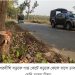 ঘাটাইলে সড়কে গাছ ফেলে বাসে ডাকাতি