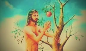 সৃষ্টির স্রেষ্ঠ জীব (এম এ ওয়াহাব)