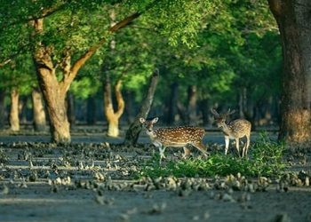 উপকূলের মানুষের কাছে ভালোবাসার দিনটি