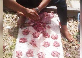 বাজারে প্রকাশ্যে শিয়ালের মাংস বিক্রি