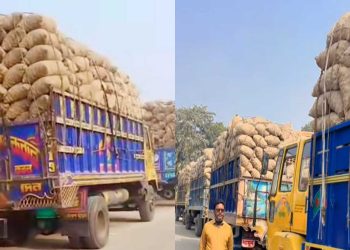 ৩৩৬ মেট্রিক টন আলু নেপালে গেল