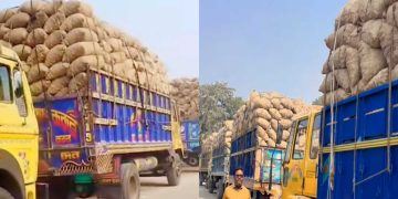 ৩৩৬ মেট্রিক টন আলু নেপালে গেল