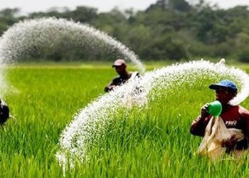 আগের দামেই সার পাবেন কৃষকরা