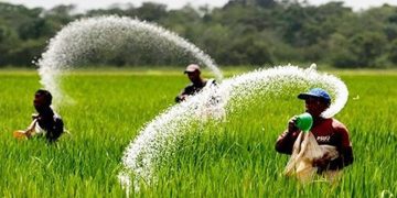 আগের দামেই সার পাবেন কৃষকরা