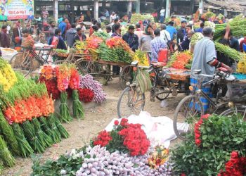 গদখালীতে ফুল বাজারে ধ্বস